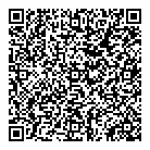 QR Code 3